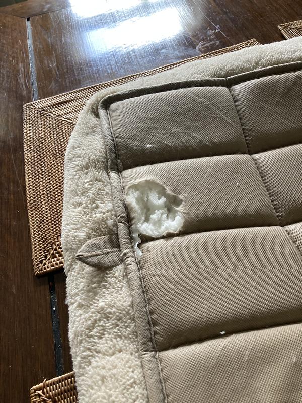 EveryYay Plush Dog Crate Mat, 18" L X 11" W X 2" H, Charcoal Grey Petco