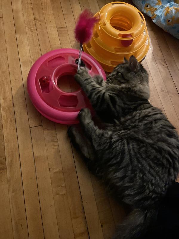 Photo - commentaire&nbsp;3.