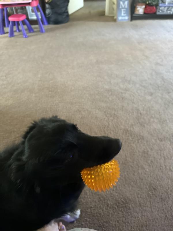 Chole playing with her ball