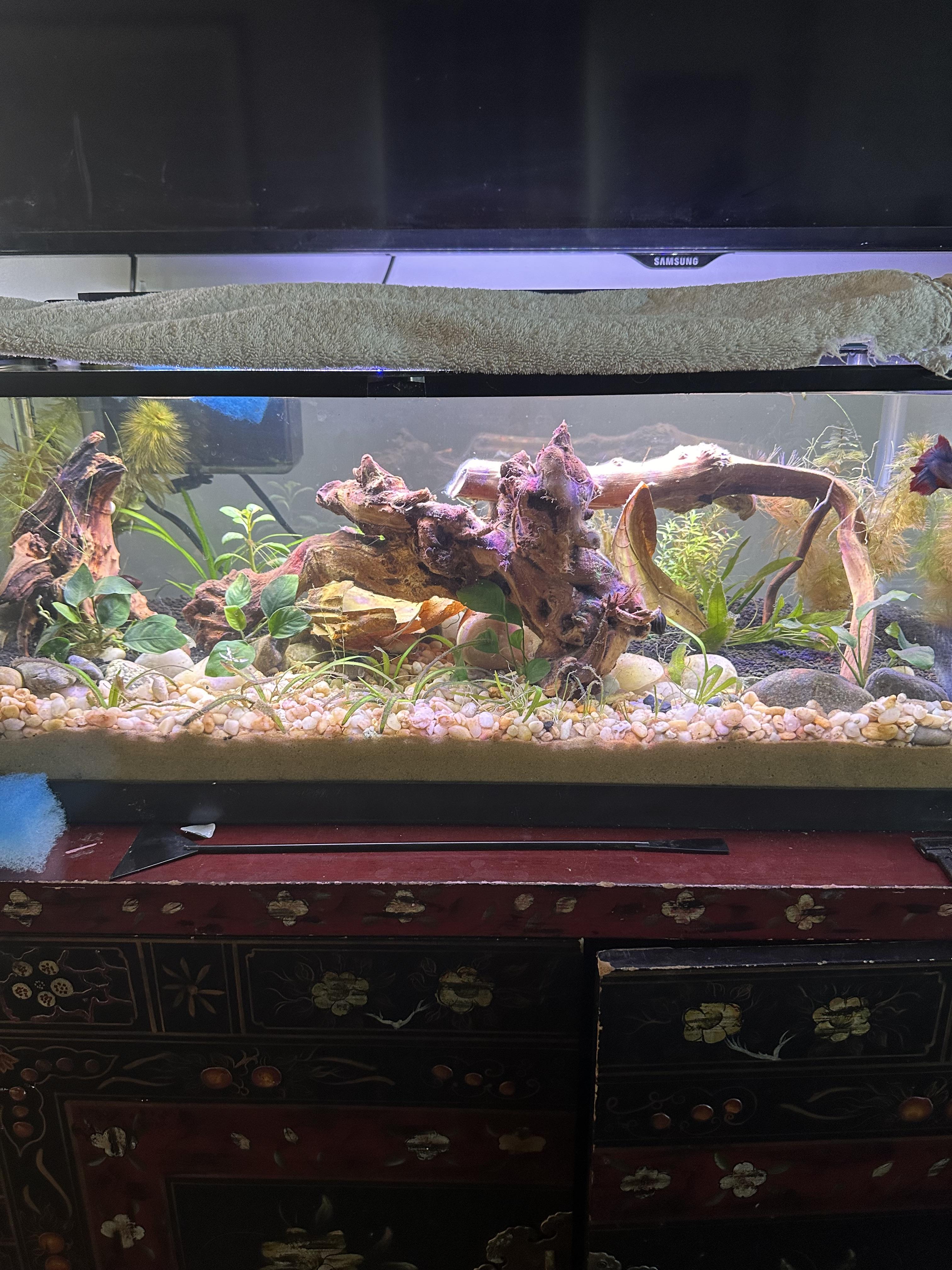 Aqueon 20 gallon long best sale