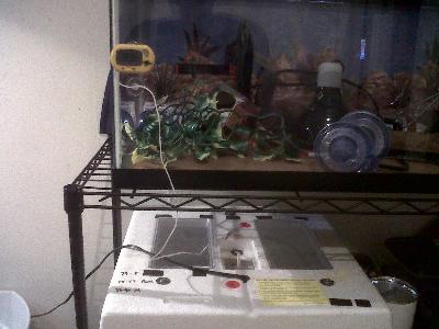 Zoo Med Digital Thermometer