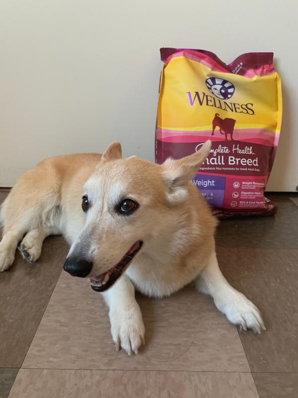 wellness complete health small breed healthy weight