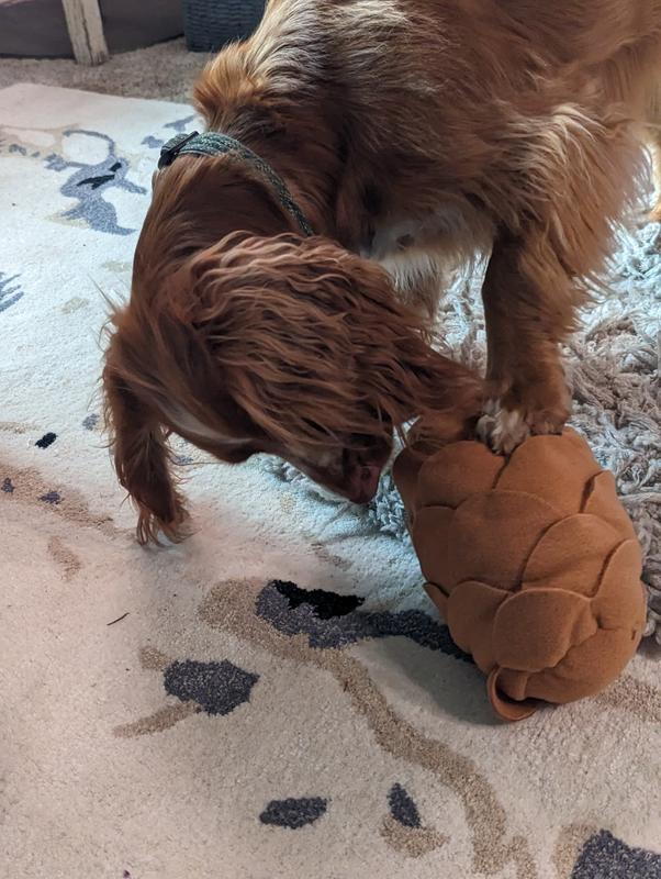 I'm still sniffing and searching...