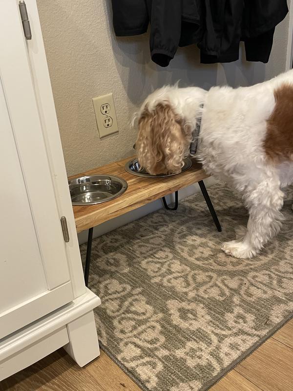 EveryYay Better Together Elevated Wood Double Diner with Stainless-Steel  Bowls for Dogs, 4.6 Cups