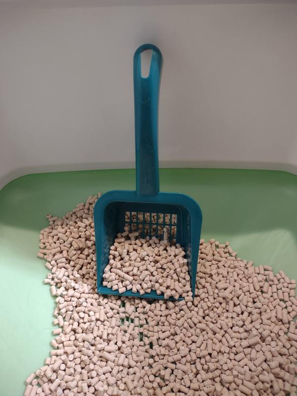 The scoop standing by!