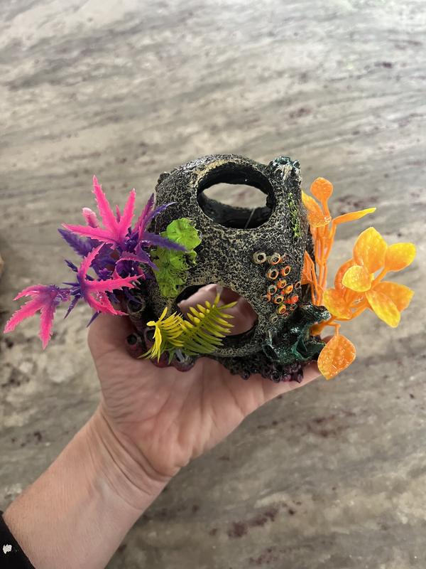 Imagitarium Sunken Orb Hideaway with Colorful Plants | Petco