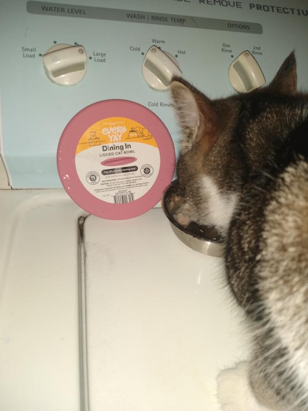 Booty using her new bowl
