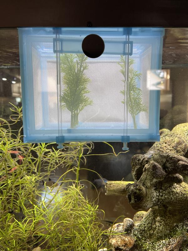 Imagitarium Aquarium Net Breeder 6.75 x 5.5 x 5.63 Petco