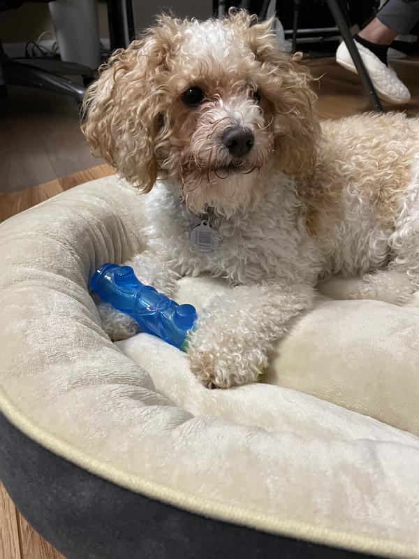 Photo - commentaire 3.