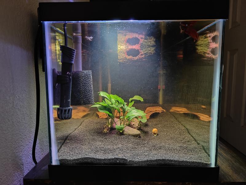 30 inch led aquarium clearance hood