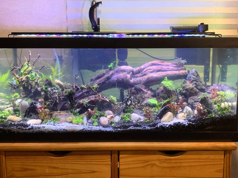 New tank just started 30 days