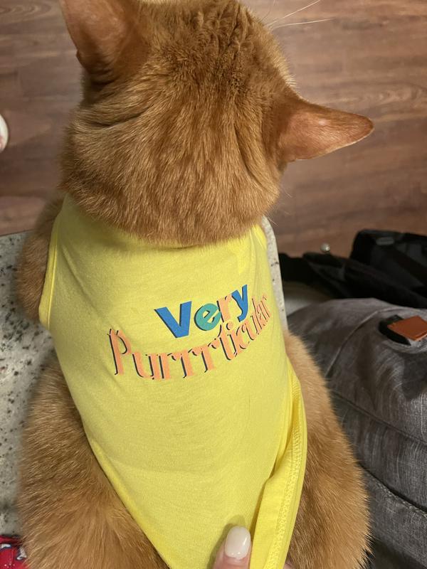 YOULY Very Purrticular Cat Tee