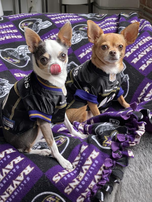 Petco Has Chiefs and Eagles Dog Jerseys on Sale Ahead of Super Bowl