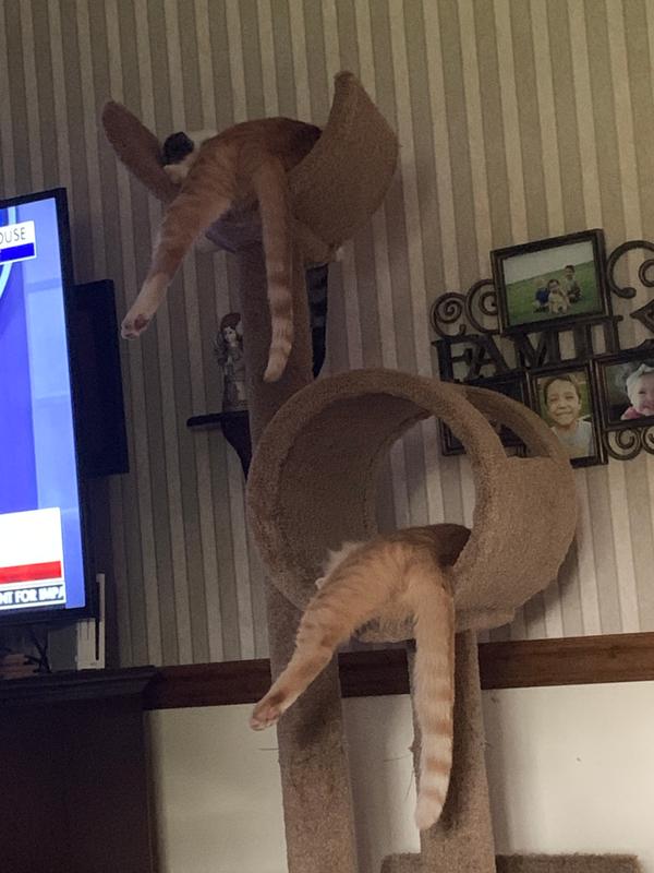 Like brother, like brother