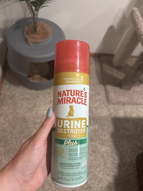 Product picture next to the carpet area where we sprayed it!