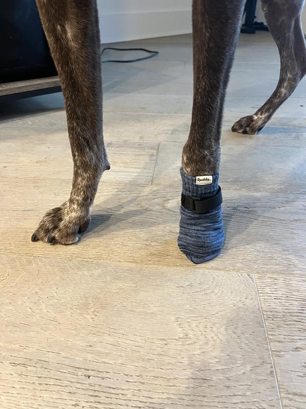 I got the L/XL and my dog weighs anywhere between 55-60 lbs.