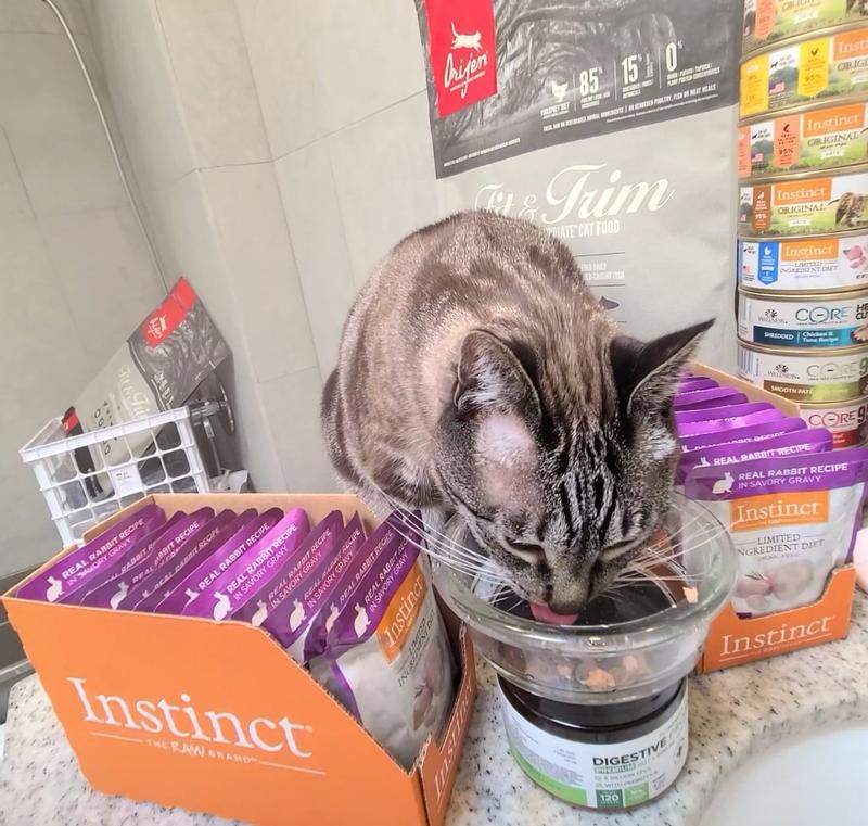 Instinct limited ingredient clearance rabbit cat food reviews