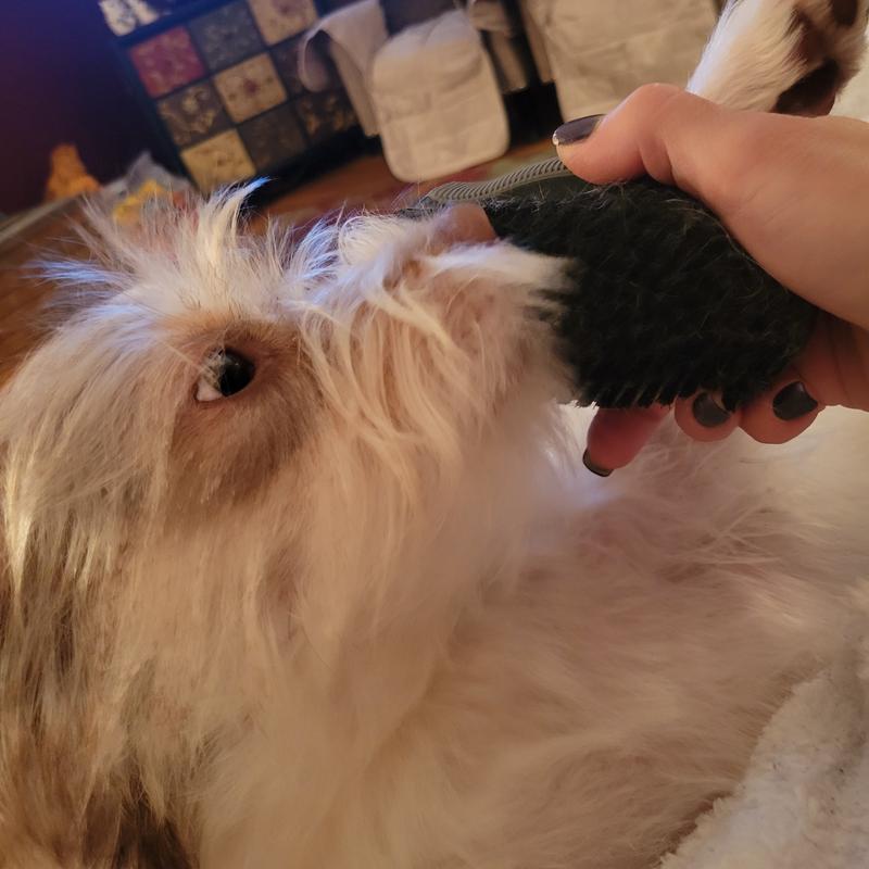 Well & Good Black Oval Bristle Dog Brush