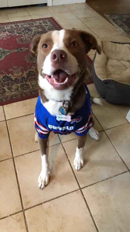 Pets First Buffalo Bills Dog Jersey - XX-Large