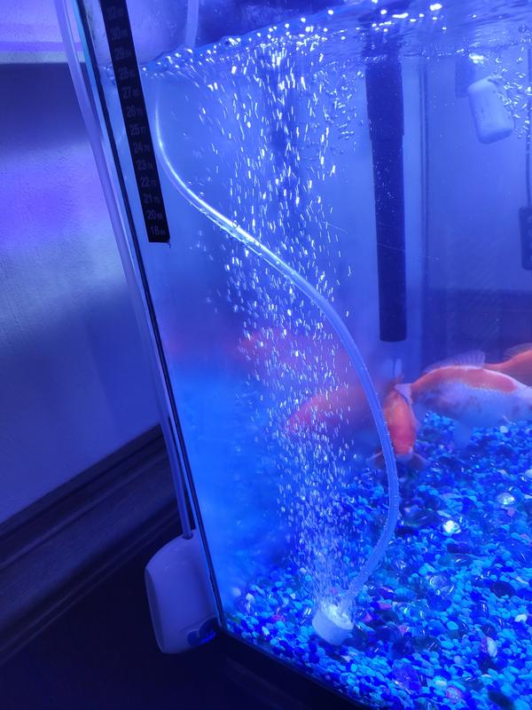 Imagitarium USB Rechargeable Air Pump & Accessories