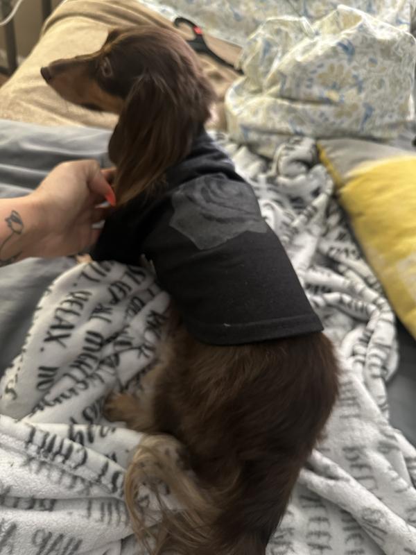 Length picture