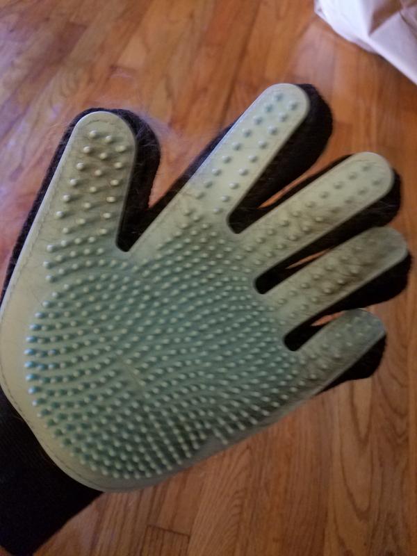 Well Good Grooming Glove for Cats Petco