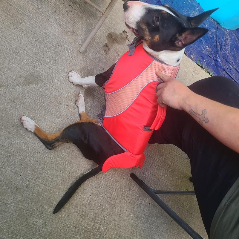 Raven with her life jacket
