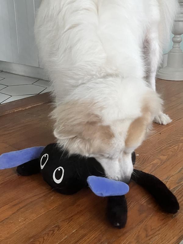 Photo - commentaire&nbsp;2.