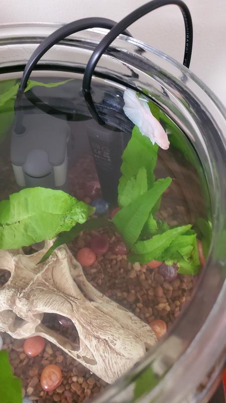 Sicce Easy Line Nano Micron Internal Filter, 53 gal/hr | Petco