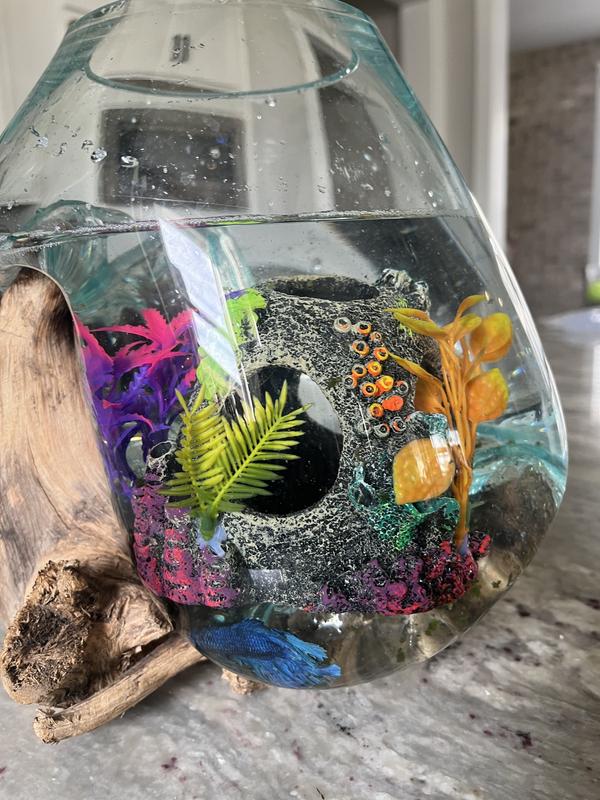 Imagitarium Sunken Orb Hideaway with Colorful Plants | Petco