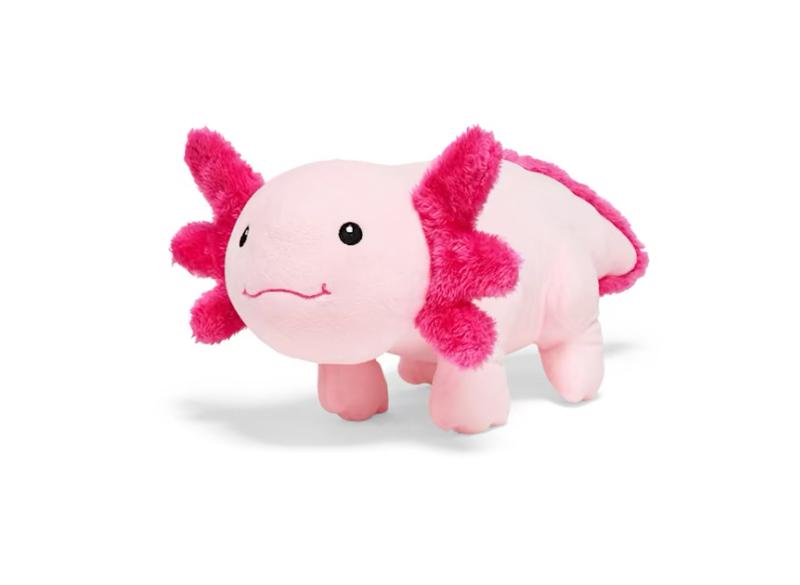 Pink color axolotyl