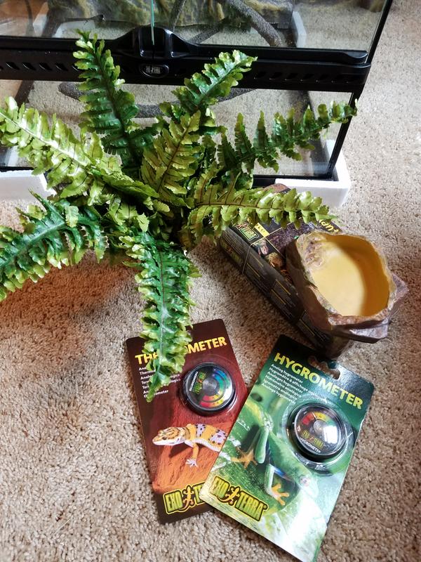 Exo-Terra Rainforest Reptile Terrarium Kit, Small