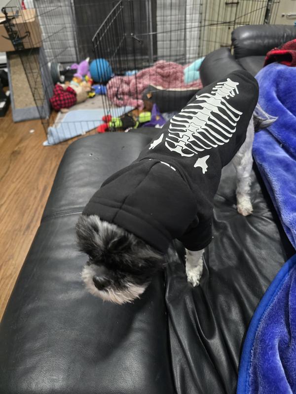 Vintage Halloween Hoodie, Spooky Season Skeleton Pullover, Matching