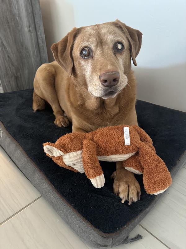 Leaps & Bounds Plush Fox Dog Toy, X-Large | Petco
