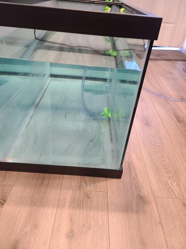 75 gallon fish tank petco