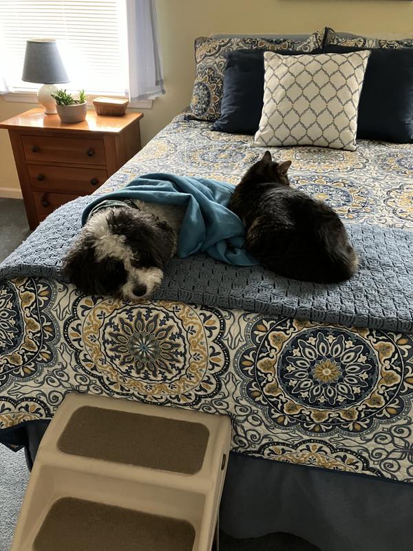 Milo and his buddy, Rocky.