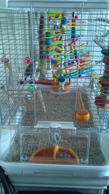 hagen bird cages
