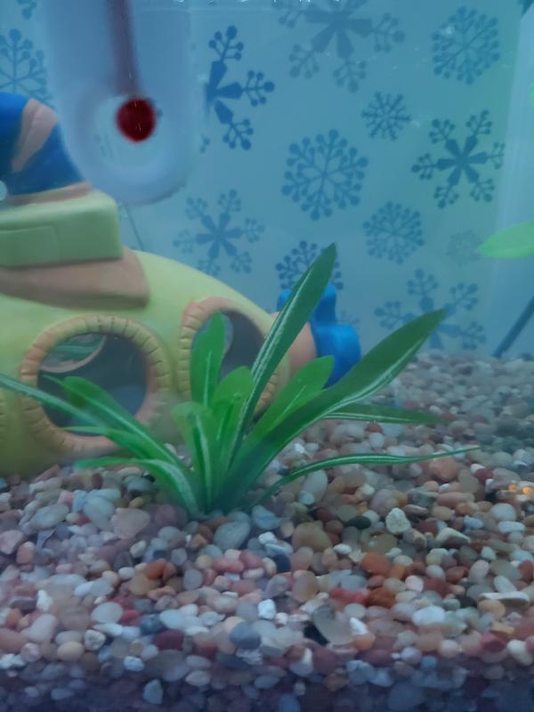 Petco Anubias Silk Betta Plant for Aquariums & Fish Tanks