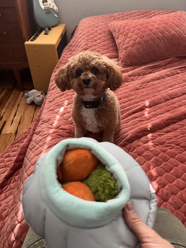 Ready for treats!