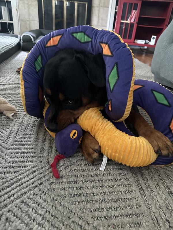So fun to wrap around my dogs head!
