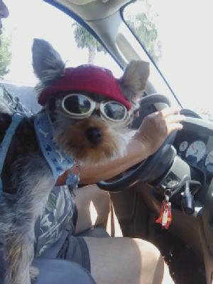 Riding in style