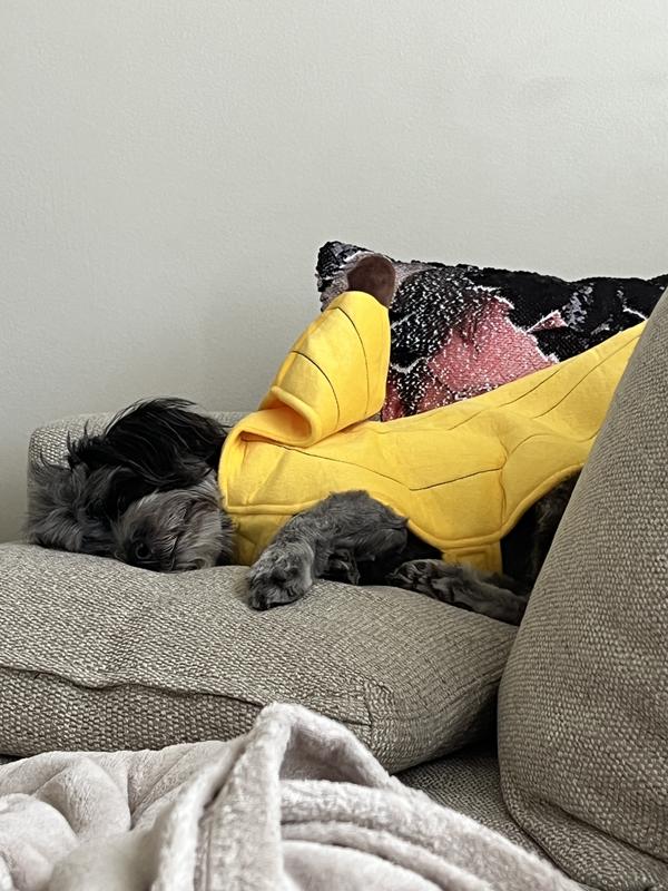 Fell asleep with costume on