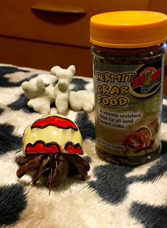 Hermit orders crab food near me