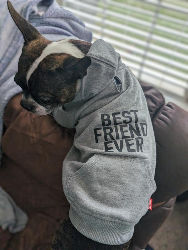 Reddy Best Friend Ever XS Grey Dog Hoodie Leash Portal