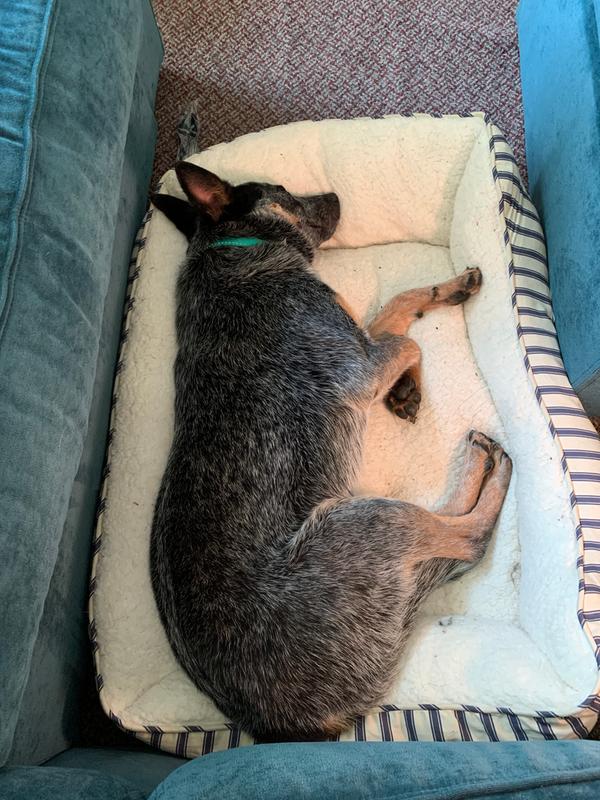 Photo - commentaire&nbsp;7.