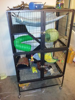 prevue hendryx black feisty ferret cage