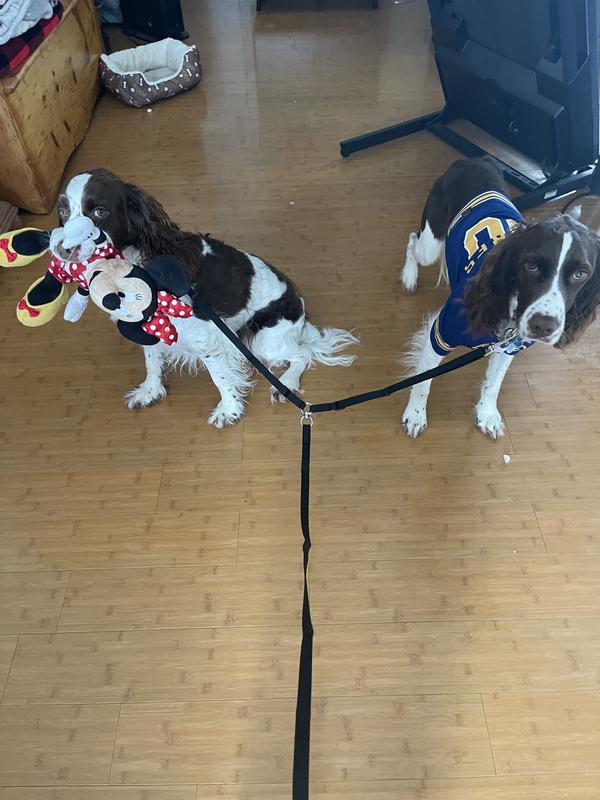 Buster and Sawyer