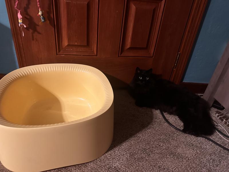 Boo is12 lbs and long, the litter box gives her plenty of room.