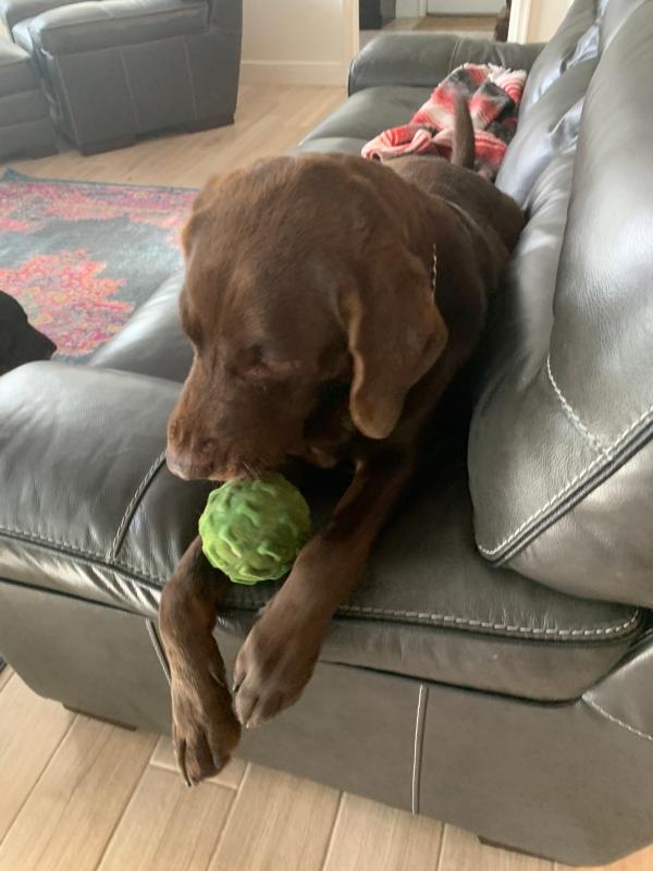 Photo - commentaire&nbsp;8.