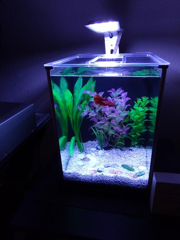 FLUVAL SPEC III 10L GLASS AQUARIUM